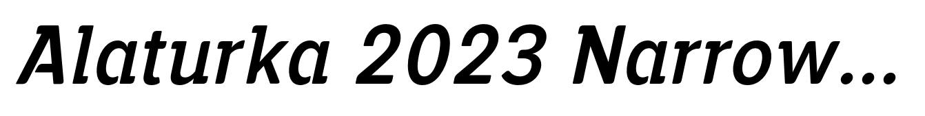 Alaturka 2023 Narrow Medium Italic